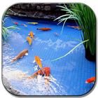 Koi fish pond II أيقونة