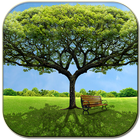 Wide tree أيقونة