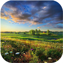 Hd Nature Wallpaper 2 aplikacja