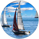 Fish Eye Lens Camera and Editor APK