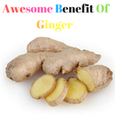 Health Benefit of Ginger APK