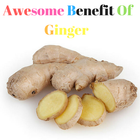Health Benefit of Ginger icône