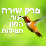 פרק שירה biểu tượng