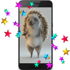 Hedgehog 3D Video LWP icône
