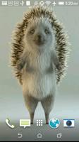 Hedgehog 3D Video LWP Affiche