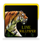 Lazy Tiger Live Wallpaper icône