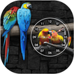 Love Birds Clock Live Wallpape