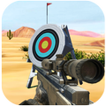 ”Hit Targets Shooting