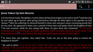 DEVOTION BIBLE 截图 3