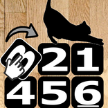 Rotating Picture Puzzle - Cat