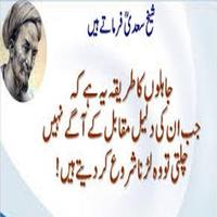 hikayat e sheikh saadi in urdu poster