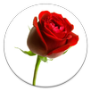 Hindi Shayari APK