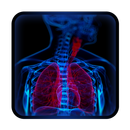 Body Xray- Prank APK