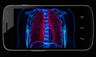 Body Xray- Prank Screenshot 1