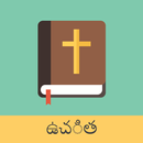 APK Telugu English Bible