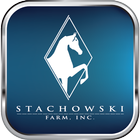 Stachowski ikon