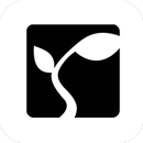 Seedbed APK