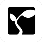 Seedbed ikona