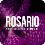 ”Rosario bloemen