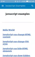 Javascript Examples постер