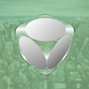 Realista APK