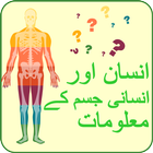 Human Body Science urdu ícone