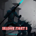 Guide for Shadow Fight 3