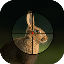 Rabbit Hunting Calls APK