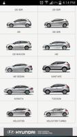 Hyundai Colour Codes plakat