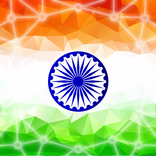 Indian Flag frame