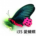 i35愛蝴蝶 ícone
