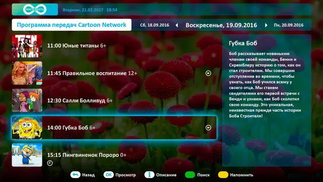 RTS TV (для телевизоров) APK download