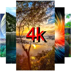 4K Wallpapers
