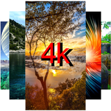 4K Wallpapers أيقونة