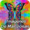 Imágenes HD Mariposas