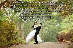 Frases para conquistar y dedicar ภาพหน้าจอ 3