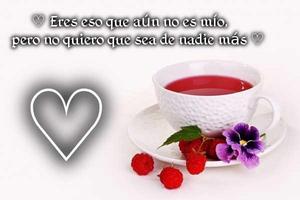 Frases para conquistar y dedicar 포스터