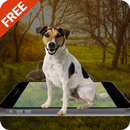 Dog on Screen Fun APK