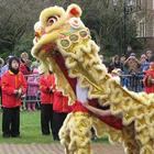 China Dragon Dance Wallpapers ikona