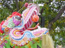 Chinese Lion Dance Wallpapers Plakat