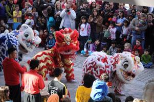 Chinese Lion Dance Wallpapers скриншот 1