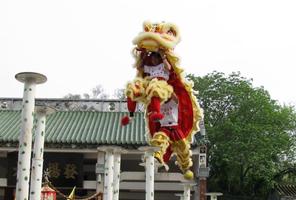 Chinese Lion Dance Wallpapers capture d'écran 2