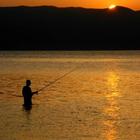 Fishing Wallpapers (Free) simgesi