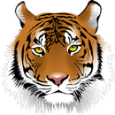 APK TigerHunt