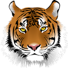 TigerHunt icône