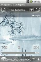 Calming Music to Tranquilize Affiche
