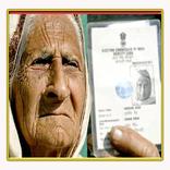 Indian Voter List ♛