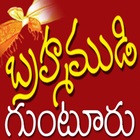 BRAHMAMUDI GUNTUR ícone