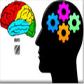 Memory Test
