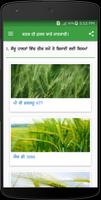 Wheat DSS Ekran Görüntüsü 1